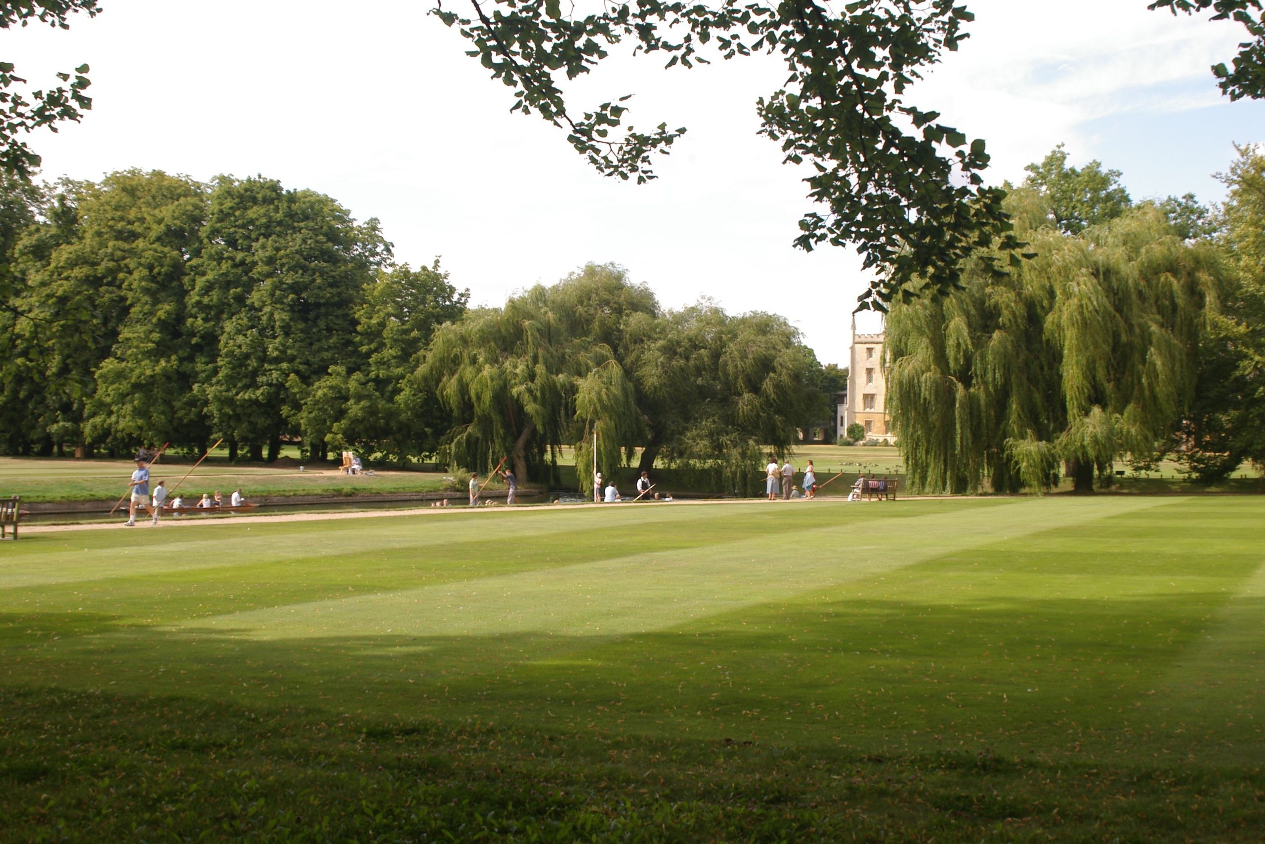 국내 규제 환경 변화와 영향